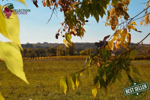 À vendre  Grand terrain à Pellegrue