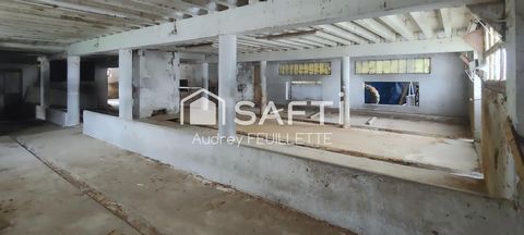 photo no. 6