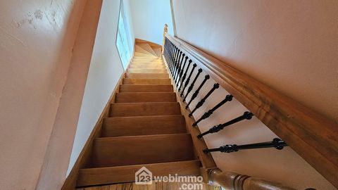 photo no. 11