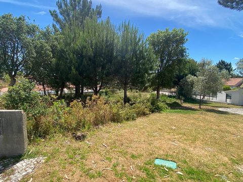Building plot of land for sale - Nadadouro Located in an urbanization with all the infrastructures. Nice views at a short distance from the city and the beach of Foz do Arelho. Allowed construction area: - footprint area: 292m2; - Gross construction ...