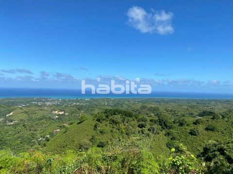 Very good location, very good price, just bring in your ocean view villa or condos project. Only 8 kilometers to the major beaches in Las Terrenas, restaurants, supermarkets...