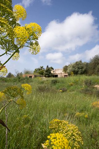 Unique opportunity for living, farming and business on no less than 81,000 square meters of land! Beautiful authentic finca with several outbuildings, extensions, buildings, and a total area of more than 300m2. The finca sits on an eight-hectare (80,...