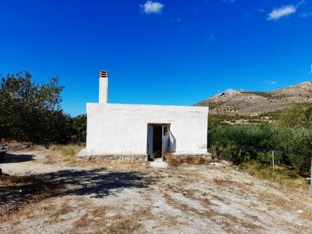 Itia, Sitia, East Crete Building plot with olive trees and small storage 12km from the sea. The plot is 9300m2 and has 270 olive trees. There is a small stone storage room of about 22m2 which has a room and fire place. The plot has a building right a...