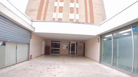 photo no. 11