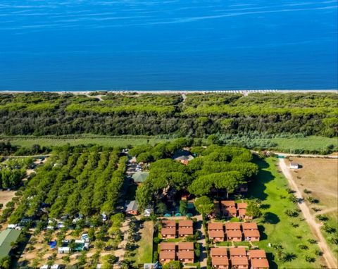The Tourist resort is completely surrounded by the Mediterranean maquis of the Tuscan-Lazian Maremma. Shaded by greenery you will find small one and two-room cottages and camping pitches for tents just a stone's throw from the sea. Included in the pr...