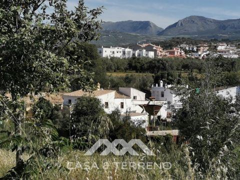 Before the professional cultivation of avocado and mango came to Axarquía not so many years ago, it was mainly almond and olive trees that shaped the landscape on the Costa del Sol. Even today, particularly in the interior of the Axarquía, there are ...
