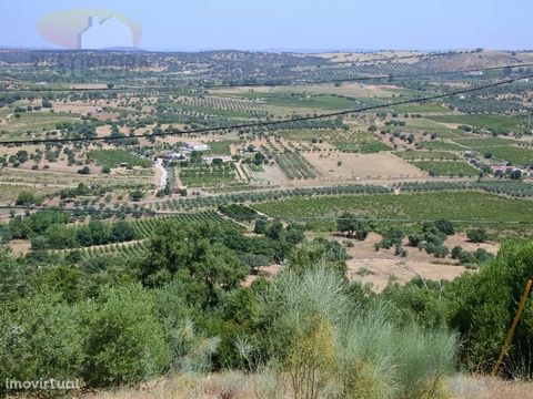 In this property with 7.8 ha, composed of 6 contiguous rustic articles we find, in excellent state of maintenance, a farm of 5 ha of vineyards, (10 and 6 years) and irrigated olive grove (0.85 ha) 7 Tons in full production; 1.25 ha of cork oak forest...