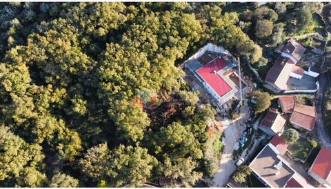 Grundstück von 1.717 m2 zum Verkauf neben einem Naturschutzgebiet in Alvados, mit genehmigtem Projekt für den Bau einer sehr schönen freistehenden Villa.