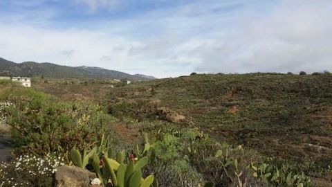 Rustic land where they call El Castillo, located in Granadilla de Abona. It has an area of 2,079 square meters. The offer is subject to errors, price changes, omissions and/or withdrawal from the market without prior notice. The indicated price does ...