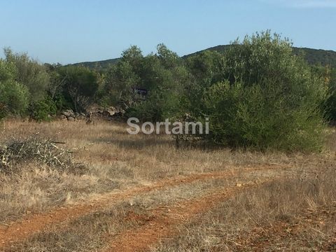 Rustic land, near Loulé. Slightly sloping, this land with a considerable total area of 9800sqm, has a very fertile soil where there is already a culture of olive and carob trees. Ideal for agriculture located in an area close to Querença, this proper...