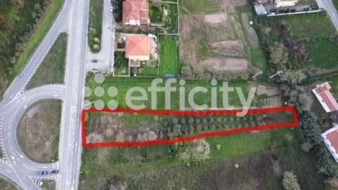On the Silver Coast - Building land of 1866 m², with a possible gross area of 373 m². Frontage 17m. Ideal location, with unobstructed views and quick access to Caldas da Rainha, Óbidos and the A8 motorway. 5min from Caldas 5min from Óbidos 15 minutes...