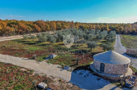 Location: Istarska županija, Bale, Bale. Istria, Rovinj, Surroundings, Experience the Istrian paradise on Earth with our well-established olive grove, located in untouched nature near Rovinj and Bale. This exceptional area exudes a peaceful oasis of ...