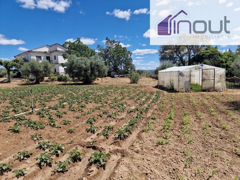Farm with 6 hectares in full production. Completely sealed. It has 3.5 hectares of olive groves, 2 hectares of vineyards, 28 almond trees, 0.5 hectares of cultivated land. It has a well and a borehole that provide water in large quantities, never lac...