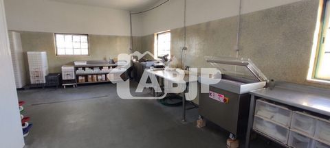 Cheese Factory with 500m2 in Operation with Customer Portfolio. It is located in an Industrial Zone. The sale consists of: -Brand; -Production; -Buildings; - Client portfolio; -Distribution; - Milk Supply. It's full passage, complete business. The fa...