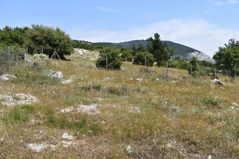 Property Code. 1795 - Plot FOR SALE in Thasos Theologos for €22.000 . Discover the features of this 504 sq. m. Plot: Building Coefficient: 0.50 Coverage Coefficient: 0.60 Plot in the area of Theologos in Thassos with a total area of 504 sq.m. It is b...