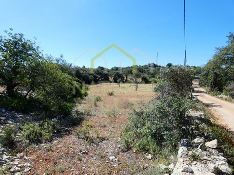 Flat rustic land with great access near the City of Loulé, Algarve. This exceptional rustic property offers a unique location and a host of features that make it ideal for the construction of your dreams. It is a flat terrain, benefiting from an abun...