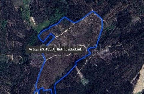 Locatie: Gelegen in Regueira de Pontes, op slechts 12 km van de stad Leiria, biedt dit rustieke land de perfecte combinatie van landelijke rust en stedelijke nabijheid. Oppervlakte: Het land heeft een uitgestrekt gebied van 112.000 m², waardoor er vo...