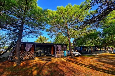 Dalmatino Pleasure Mobile Home is situated in Camp Dalmacija, located in a beautiful bay near Privlaka. A private terrace with an outdoor dining area as well as BBQ facilities is at your disposal, which makes this place a nice and relaxing family or ...