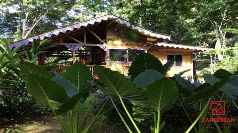 Découvrez la retraite ultime des Caraïbes dans le meilleur emplacement de Playa Negra, à seulement 4 minutes à pied de la plage ! Cette charmante maison est parfaitement située à proximité des restaurants en bord de mer, des épiceries et à seulement ...