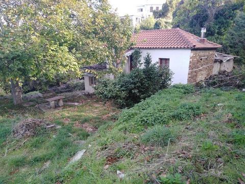 Labinou, Tsagkarada, Pilio. Se vende una vivienda de 80 .m cuadrados. en la parcela de 1450 .m. La casa fue construida en 1950 y el techo y el suelo fueron renovados en 2015. La casa consta de sala de estar con chimenea, dormitorio, baño y cocina. La...