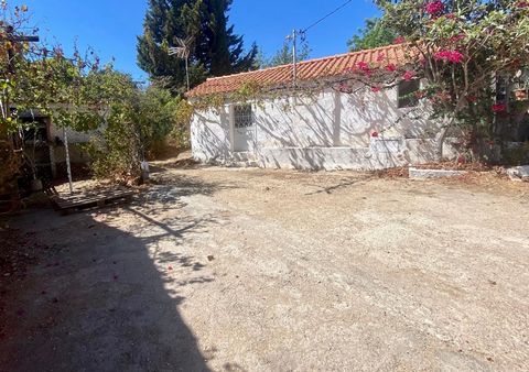 Belle maison typique de cette région de l'Algarve, située à la campagne, à proximité d'autres maisons, mais avec intimité et à quelques minutes des plages de Fábrica, Cacela Velha et Manta Rota. Le quartier est très calme, malgré la proximité de tous...