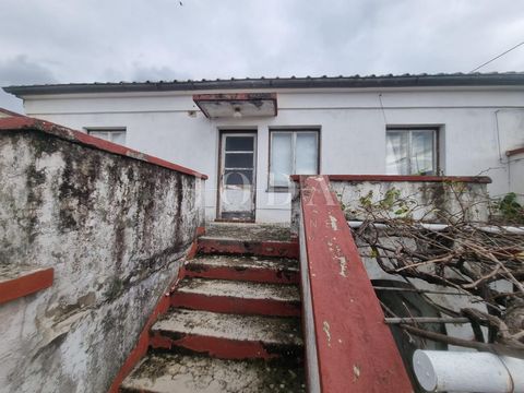 Location: Primorsko-goranska županija, Vinodolska Općina, Grižane-Belgrad. ID CODE: 6257 Ana Šutalo, bcc.oec Agent s licencom Mob: 0976252606 Tel: 051 403 771 E-mail: ana@joda-nekretnine.hr www.joda-nekretnine.hr Marina Mudrovčić Agent s licencom Mob...