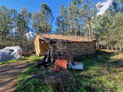 Deze rustieke woning met 22.580 m2 (2,25 hectare) ligt net buiten het dorp Rapoula, Sarzedas. Het land is vlak en heeft een zeer goede toegang via een geasfalteerde weg. Het pand bestaat uit bos, voornamelijk dennen, maar ook eucalyptus en kurkeiken....