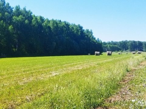 Продам участок с электричеством для дачи или постоянного проживания в деревне. Красивейшее место, не больше часа езды от Москвы, трасса М-4 Дон или М-2 Крым. Хороший подъезд, дороги в поселке. Отсутствие крупных промышленных предприятий. Перспектива ...