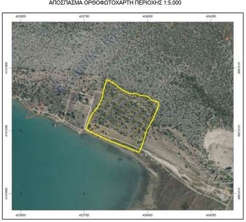 Kranidi, Koilada, Plot For Sale, 4.691 sq.m., Building factor: 0,18,  Features: Amphitheatrical, Distance from: Seaside (m): 5, Price: 437.000€. Isqm real estate Ι.Κ.Ε., Tel: ... , email: ... Attention: In order to visit or receive documents, floor p...