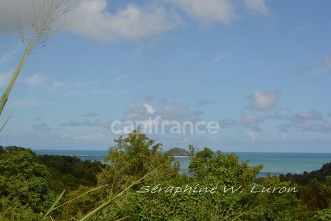 Dépt 972 Terrain à bâtir - 4229,00 m² LA TRINITE - 319990