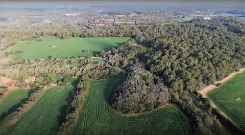 Ti presentiamo una casa di campagna situata nei pittoreschi dintorni di Alaior, un luogo che ti trasporta in un paesaggio affascinante e sereno. Con una generosa superficie di 796.839 mÂ², questa proprietÃ ha un potenziale accattivante.MINORCA Ã$euro...