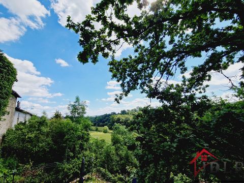 Nestled on the borders of Haute-Saône, Vosges and Haute-Marne, this superb winegrower's house dating back to 1700 invites you to travel back in time, while offering modern conveniences. Located in a Renaissance village, this unique property will deli...