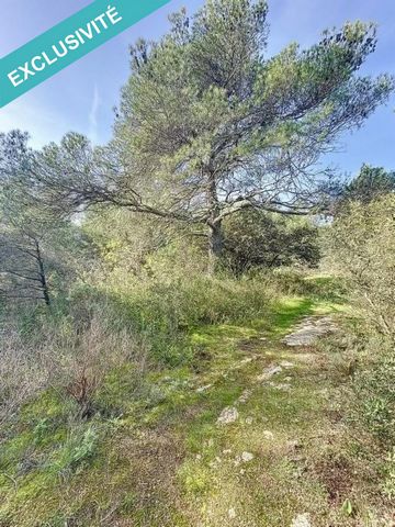 A vendre une parcelle de terrain boisée située sur la commune de Cabrières d'Avignon 84220, quartier de BEAUREGARD. Le terrain est mitoyen avec d'autres parcelles boisées de même nature et classement. Les informations sur les risques auxquels ce bien...