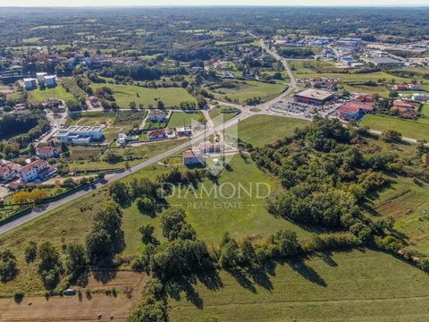 Location: Istarska županija, Žminj, Žminj. Istrien, Žminj Žminj ist bekannt für die reiche Geschichte des alten Stadtkerns, der Zisterne, der gepflasterten Štrada-Straße, der Fresken, Kirchen, Kulturgüter und Gastronomie und zieht Besucher aus aller ...