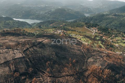 Identifizierung der Immobilie: ZMPT571961 Dieses 7.000 m² große Grundstück in Baião bietet eine privilegierte Lage, nur 10 Minuten vom Fluss Douro entfernt. Komplett eingezäunt und mit eigenem Wasser durch einen Brunnen ausgestattet, ist der Raum per...