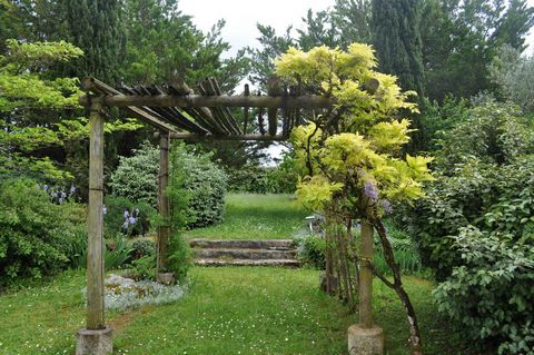 photo no. 13