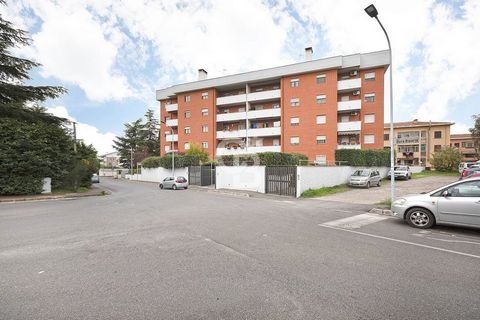 Dans un quartier élégant adjacent à tous les principaux services, tels qu'un supermarché, un bureau de poste, des centres médicaux, des écoles et à proximité de trois grands espaces verts dont celui qui abritera la piste de skateboard, nous vous prés...