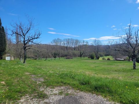 photo no. 3