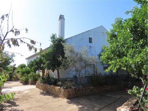 Wonderful property, fully walled, with a total area of 148500 m2, very well located in a village close to Idanha-a-Nova. It has in its composition a house on the ground floor, with 149 m2 of area, with housing license, with kitchen with fireplace, li...