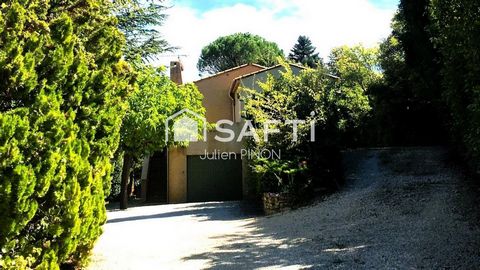 photo no. 4