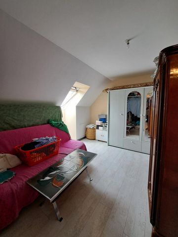photo no. 11