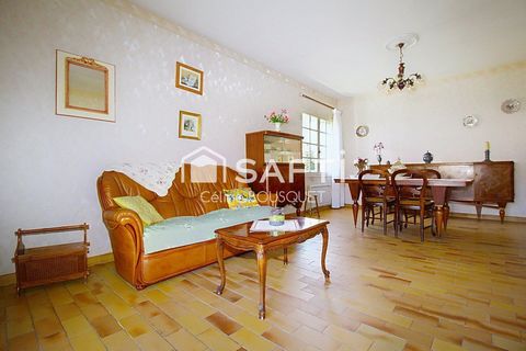 photo no. 2