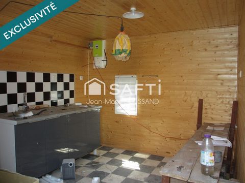 photo no. 6