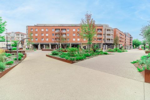 photo no. 13