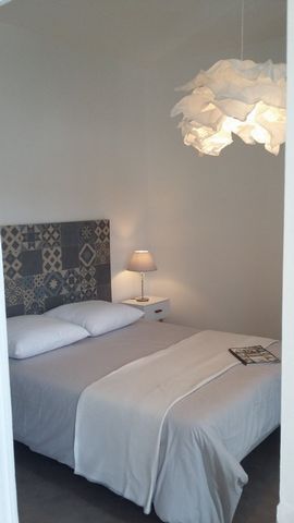 photo no. 9