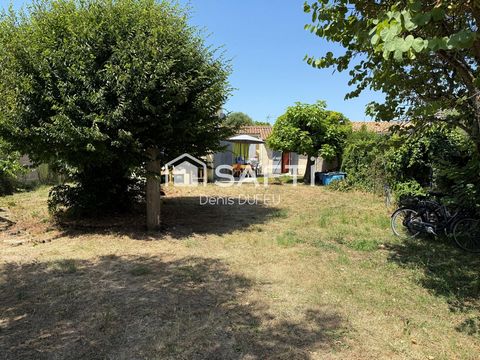photo no. 8