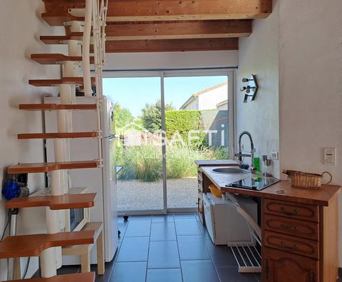 photo no. 13