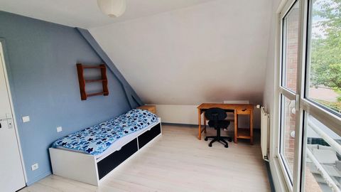 photo no. 15
