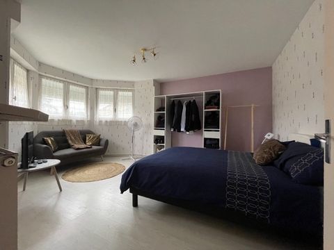 photo no. 7