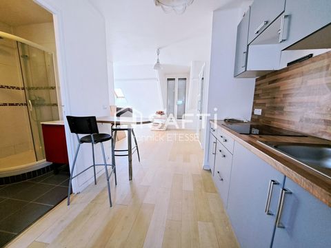photo no. 16